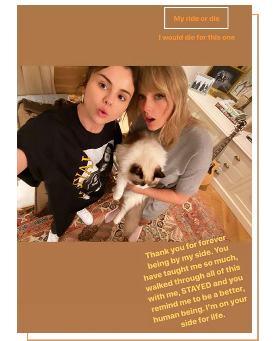 彩妆限购一件,限购彩妆