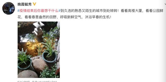 等疫情结束后你们想做些啥,疫情结束后你最想做什么短视频