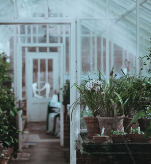 《扬子江》头条诗人|梁平：我的南方不是很南