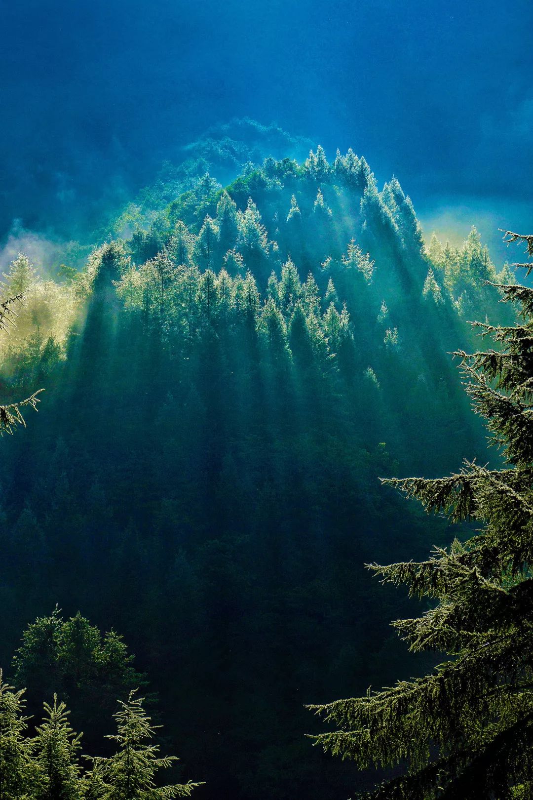 湖北不是只有武汉,湖北哪里跟武汉最近