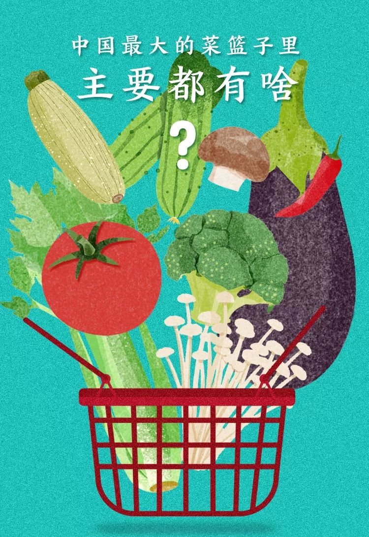 按吨起步支援湖北的蔬菜，背后是世界第一硬核蔬菜大国