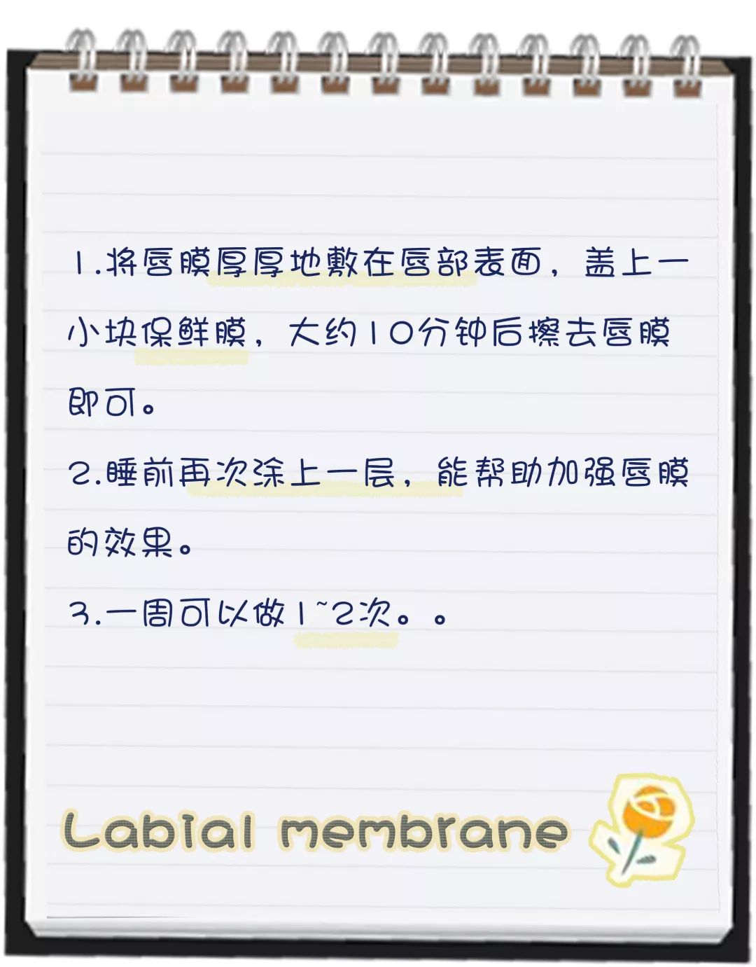 冬季嘴巴太干了护唇推荐,有什么好的护唇嘟嘟唇