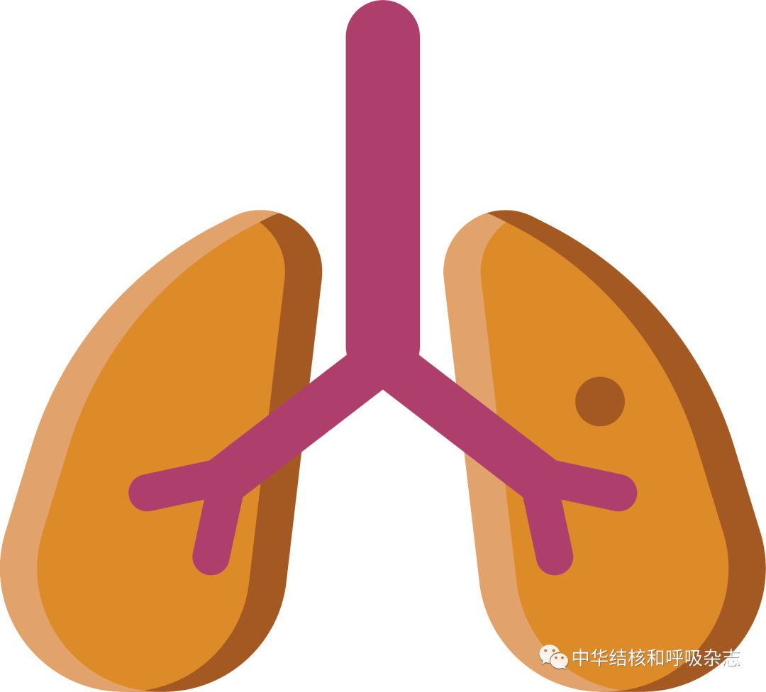 结节病诊断流程图,结节病指南解读
