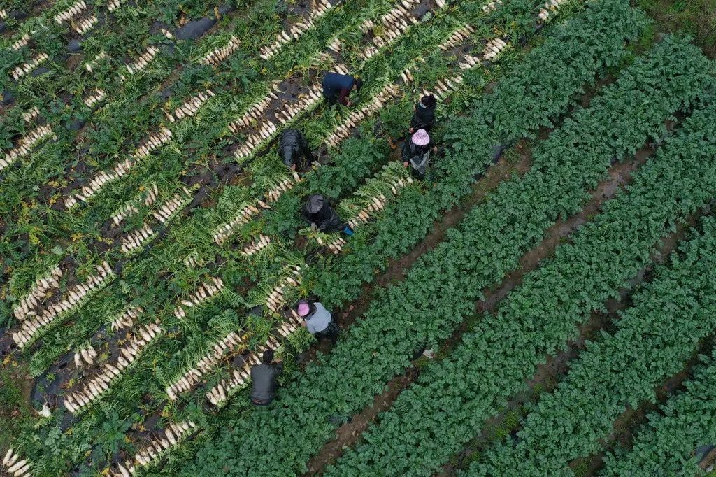 收到诈骗电话舍不得挂，看来他们也复工了，真好