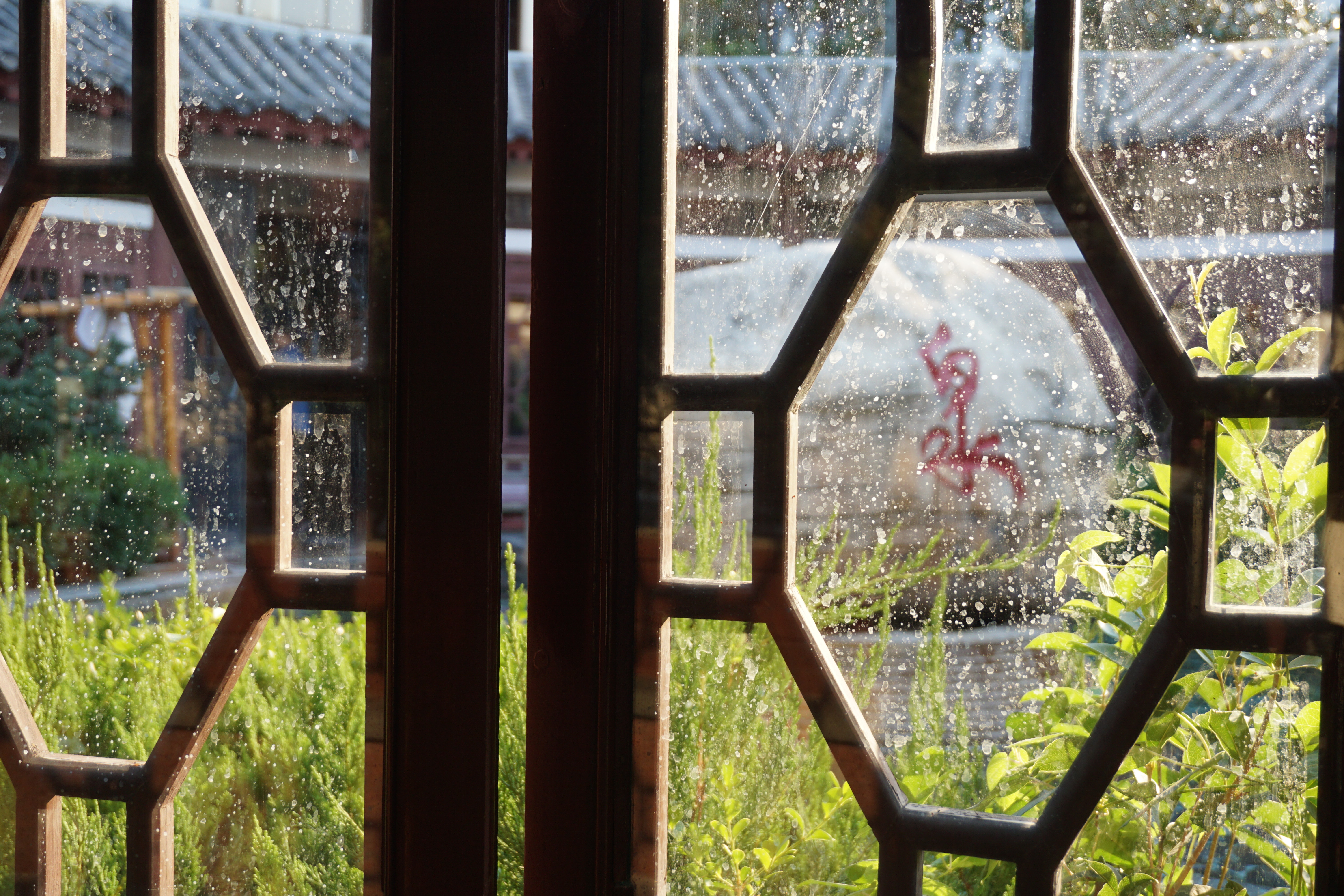 疫情过后一定要去西双版纳,疫情过后一定要来苏州喝奶茶