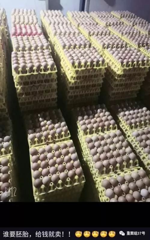 疫情期间贩卖蔬菜,疫情农产品滞销