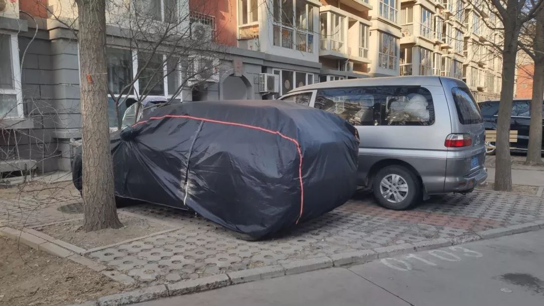 汽势焦点｜微调查：你的车多久没挪过窝了？车会停“坏”么