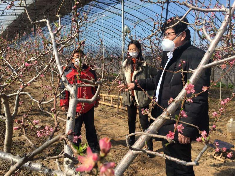 潍坊临朐：科技“小分队”服务到地头农户“恣”心头