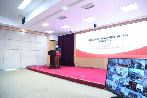 「便民生活」担心果蔬烂在地里？看这儿——山东搭建生鲜农产品产销对接平台