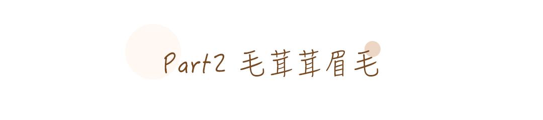 美国平价彩妆好物有哪些牌子 (9.9彩妆平价好物)