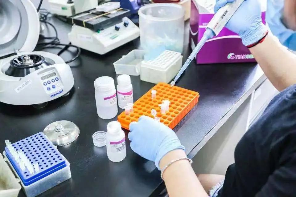 耶鲁mit学霸,被斯坦福录取的高中生