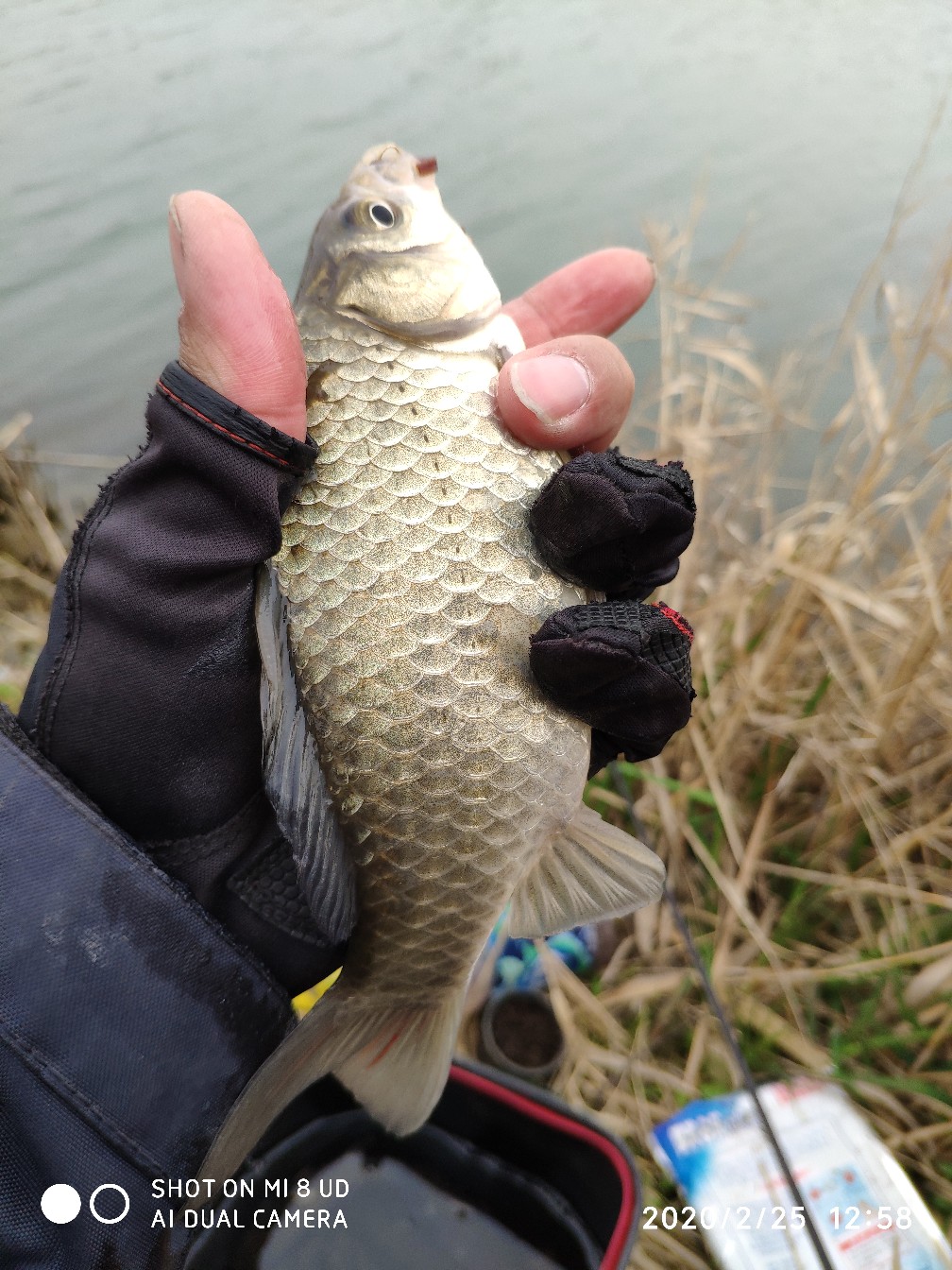 本人野钓经验总结范文怎么写,万峰湖野钓经验
