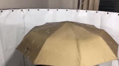 厉害了！这把伞一键自动开收伞，能抗8级大风