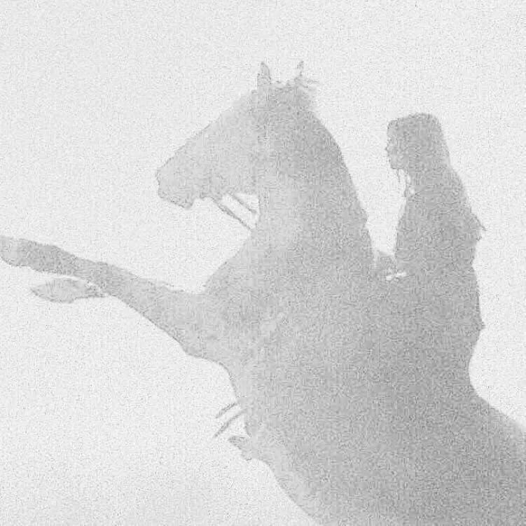 补货啦！柿饼界的小花旦，果冻Q心