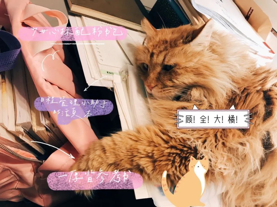 清华书桌,大学宿舍书桌大赏