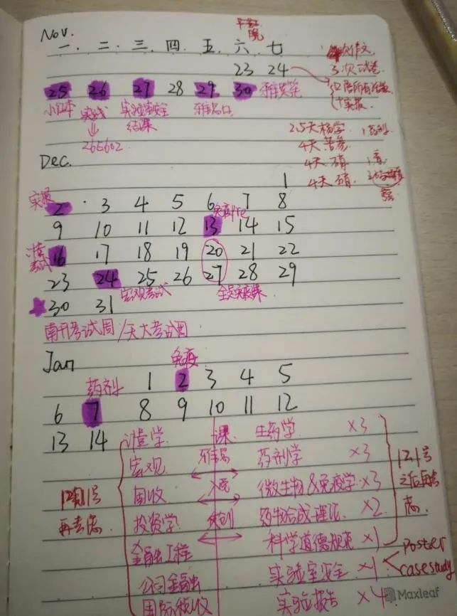 在家学习10个技巧,小学生宅家如何高效学习