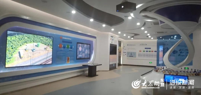 东营德仕集团是做什么的,山东省东营市德仕集团