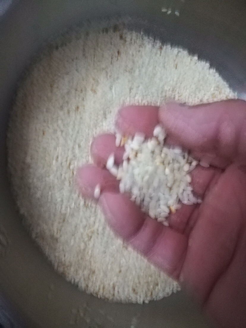 自制酒米用大米好还是小米好,用大米怎么自制酒米