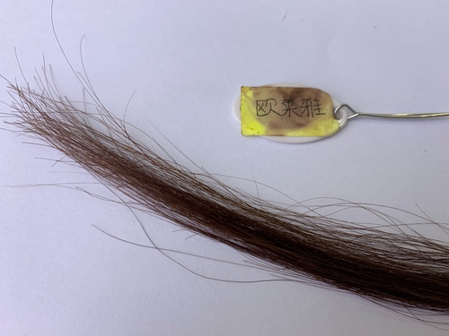 美源植物染发霜,韩金靓植物染发霜