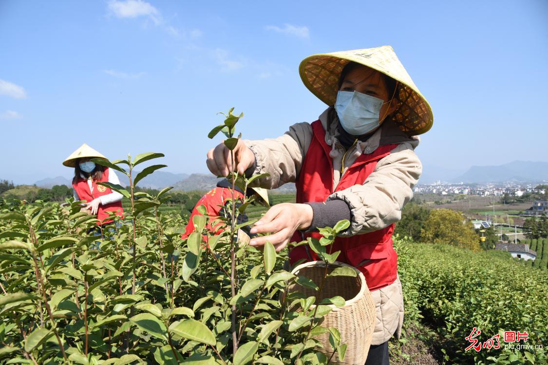 雷锋精神在疫情防控中闪烁,弘扬雷锋精神疫情防控主题党日