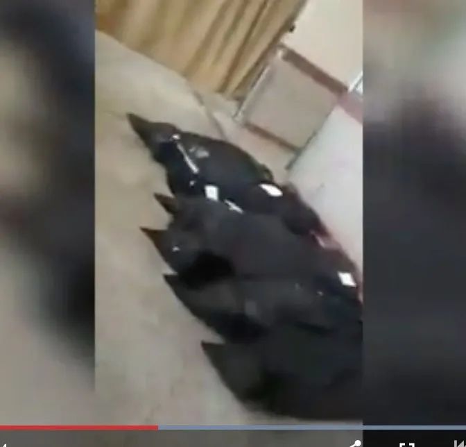 “病毒比特朗普厉害”！伊朗医院遍地尸体视频流出，当局用石灰烧尸防传播