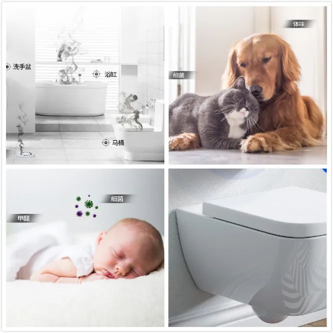 净化空气又杀菌消毒,空气净化消毒包括哪些