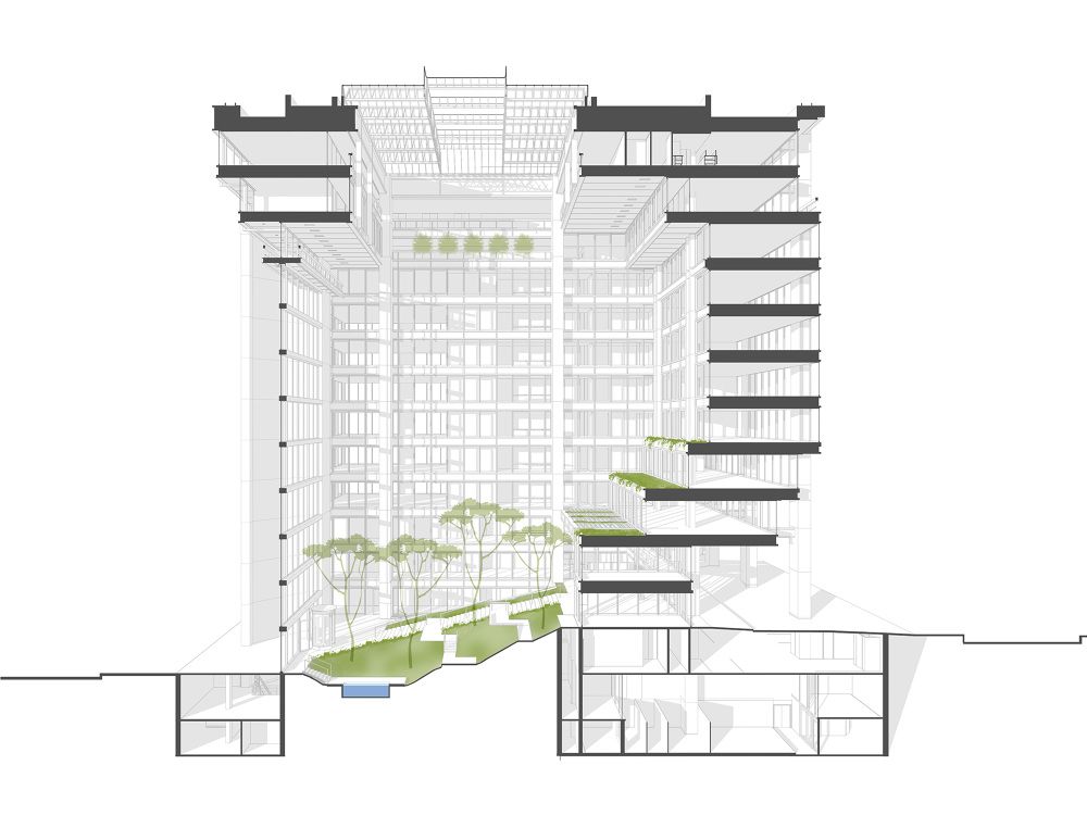 一起来植树的视频,今天适合植树吗