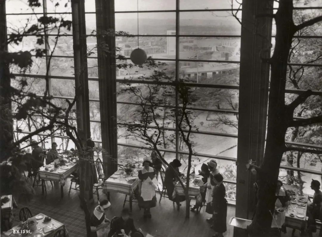 一年一度的植树,现在正在植树的视频