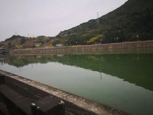 7名大学生手拉手救人溺水,男子与妻子争吵跳桥被救