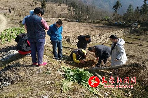 让贫困户彻底摘掉穷帽子,摘掉贫困帽子致富