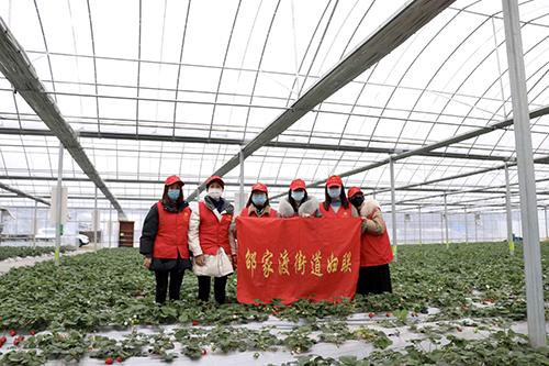 又是一年春来早家乡景色,又是一年春来早万物逢春在今朝