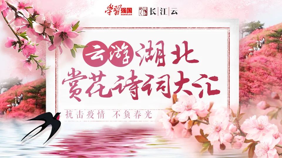 云办公、云问诊、云赏花……湖北“云力量”原来这么硬核