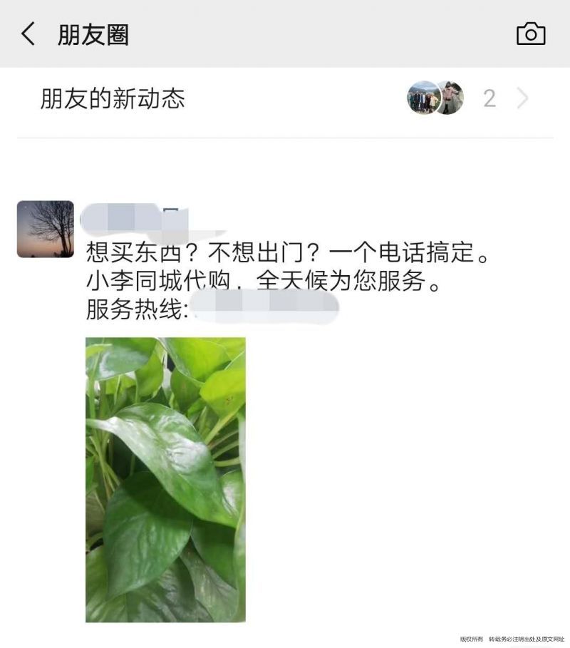 vlog创业渠道,vlog创业领域