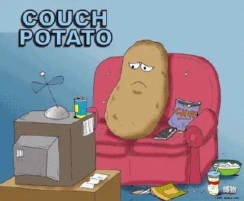 袋装薯片好吃还是盒装薯片好吃,是袋装薯片好吃还是桶装薯片好吃