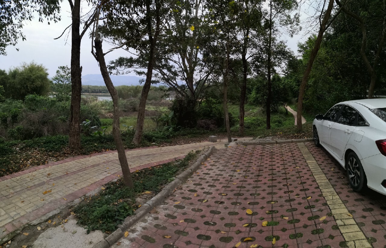 增江钓土鲮时间,增江土鲮爆护