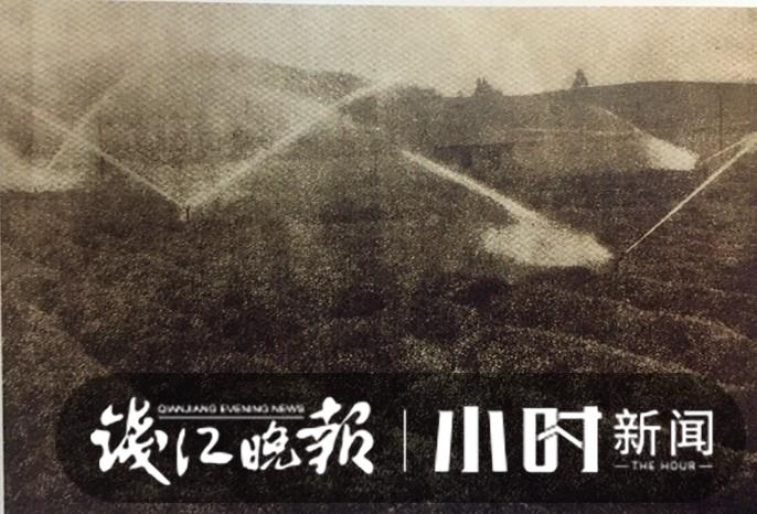 问茶③｜失而复得的径山茶，耄耋老人用毕生书写与径山的一世茶缘