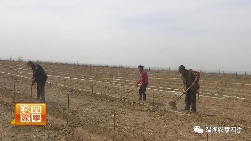 好政策促就业,好政策的落实对策
