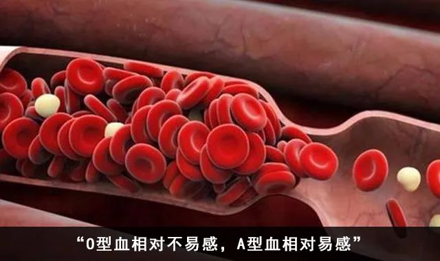 回国机票四万,回国经济舱票价4万