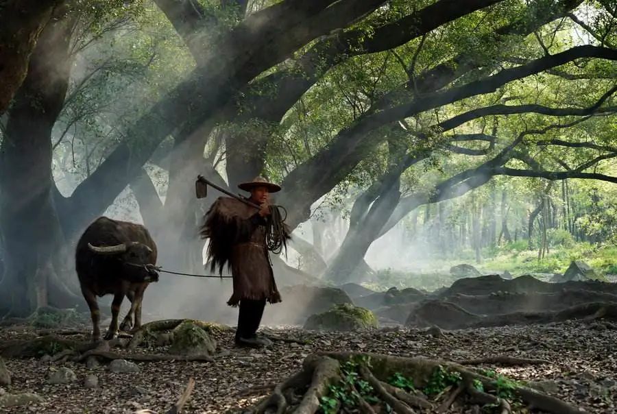 古代的下雨天和什么最配？