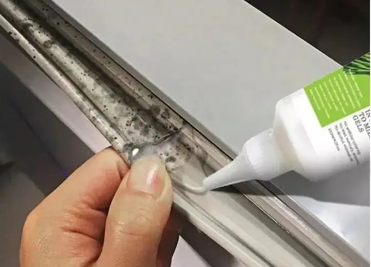 “回南天”霉菌爆发，澳大利亚来的除霉啫喱，彻底「斩霉除根」