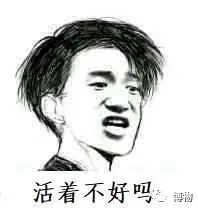 蓝环章鱼为了你到底付出了什么,蓝环章鱼日常