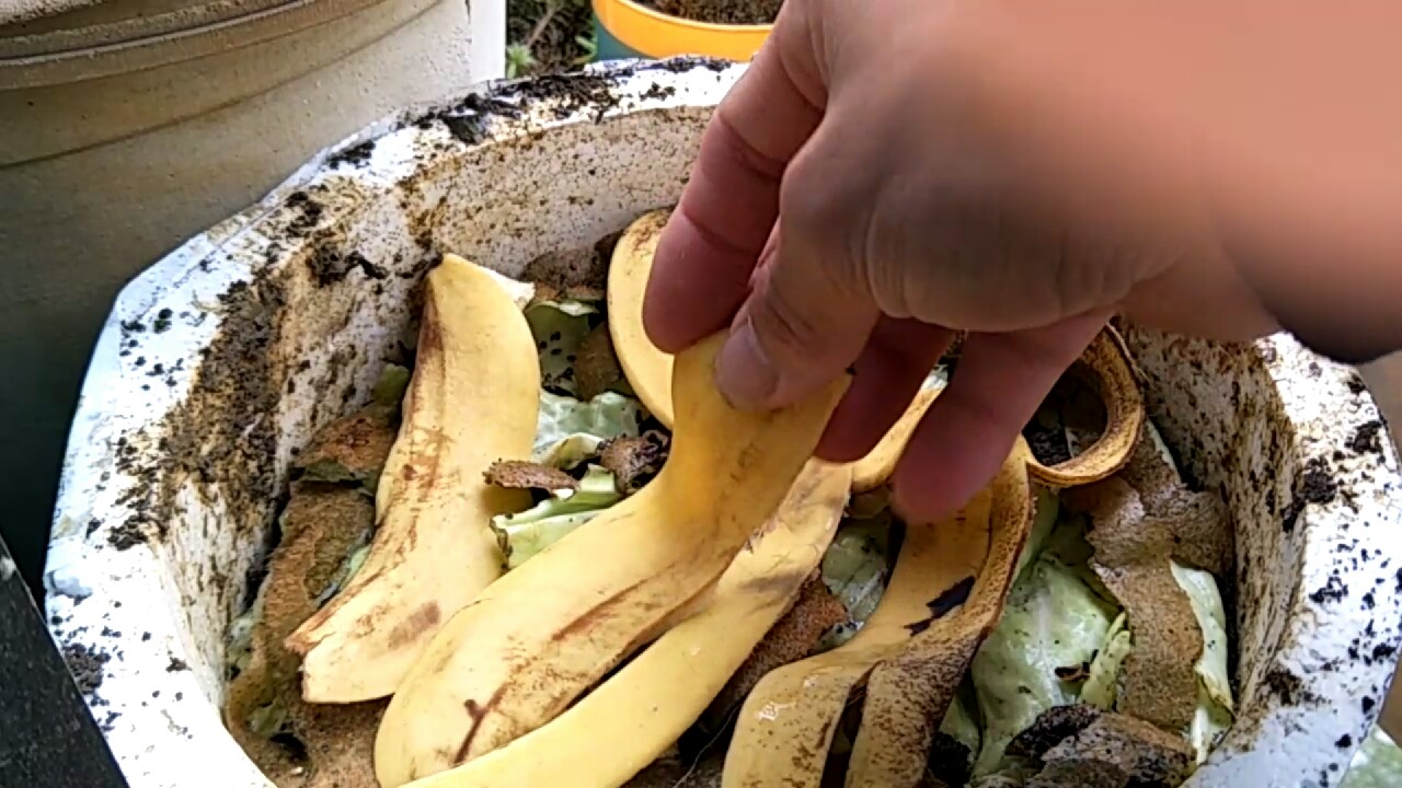 自制养蚯蚓神器,自制鱼饵神器大全