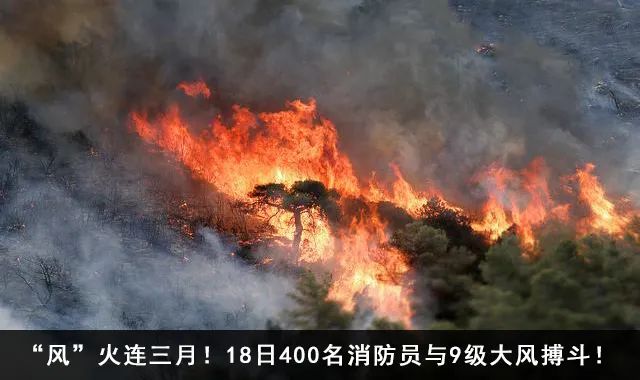 京户2019补贴,北京可以领取哪些补贴