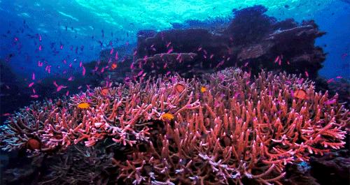 姘村綋褰撶殑鐨偆鎬庝箞鑾峰緱,姘村綋褰撶殑鐨偆