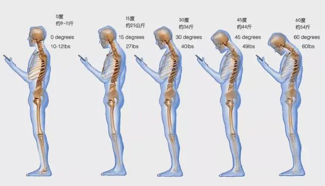 一样的体重怎么比去年更胖呢,同样体重看起来比别人胖怎么办