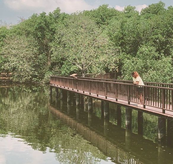 全国头部网红大盘点,世界各地旅游的网红