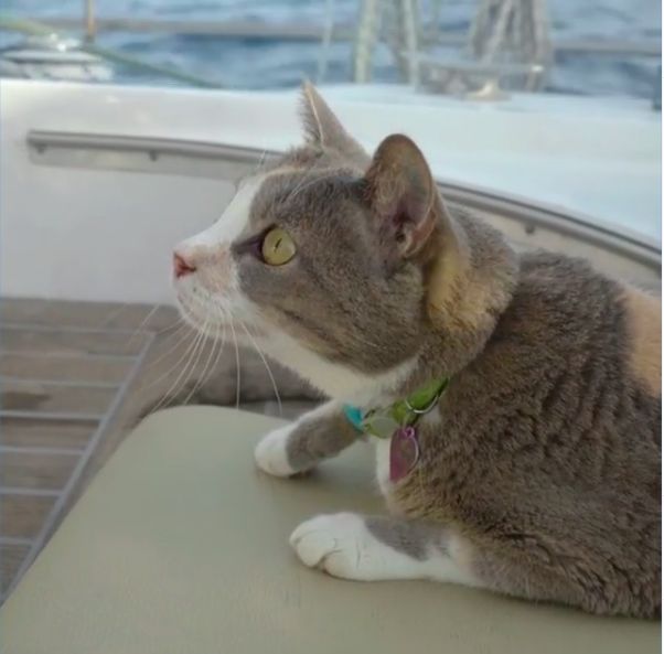 各个省份头部网红,旅游全球的网红有哪些