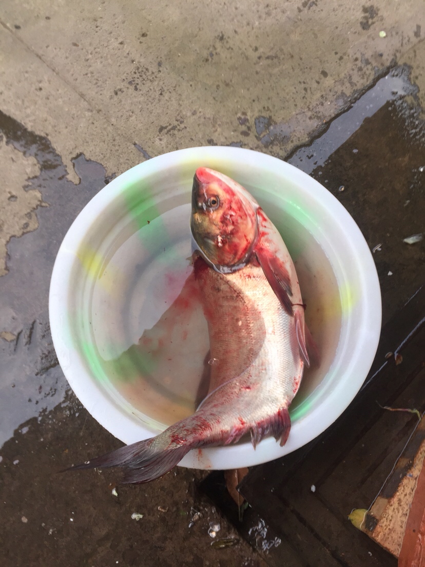 穿上节日盛装为祖国庆生,身穿战袍