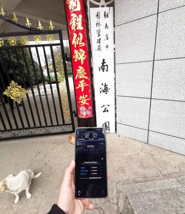 这网速，爱了爱了