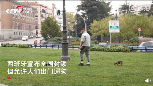 会玩！外国民众居家抗疫乐趣多：阳台办起音乐会，无人机遛狗，厕纸成了筹码